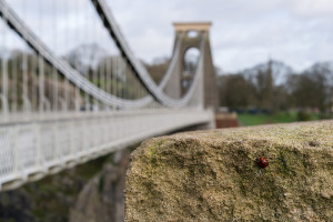 Lucky Bridge